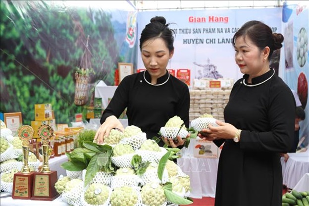 Lạng Sơn: Quảng bá, tiêu thụ na và các sản phẩm OCOP